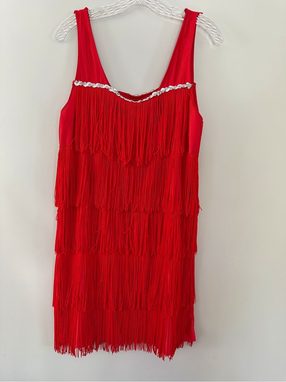 Red Flapper Fringe Costume Dress